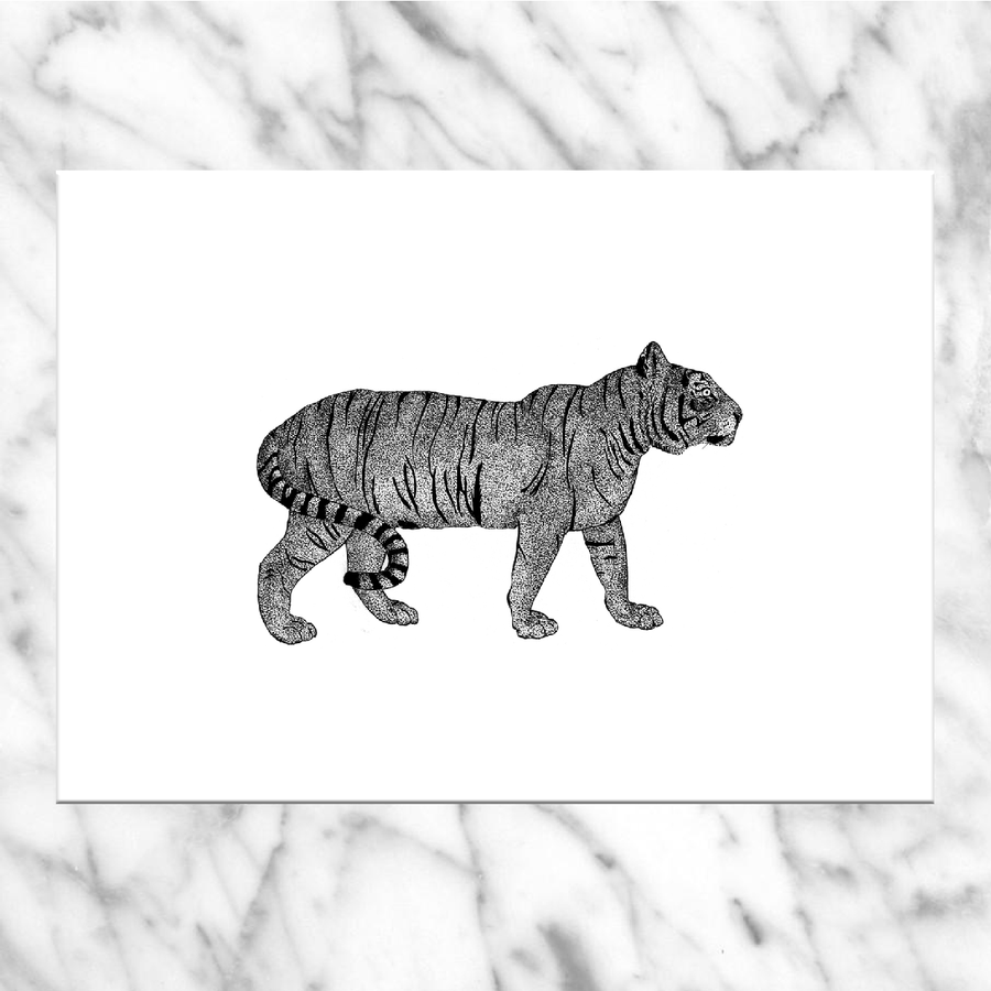 Tigris - Carte postale