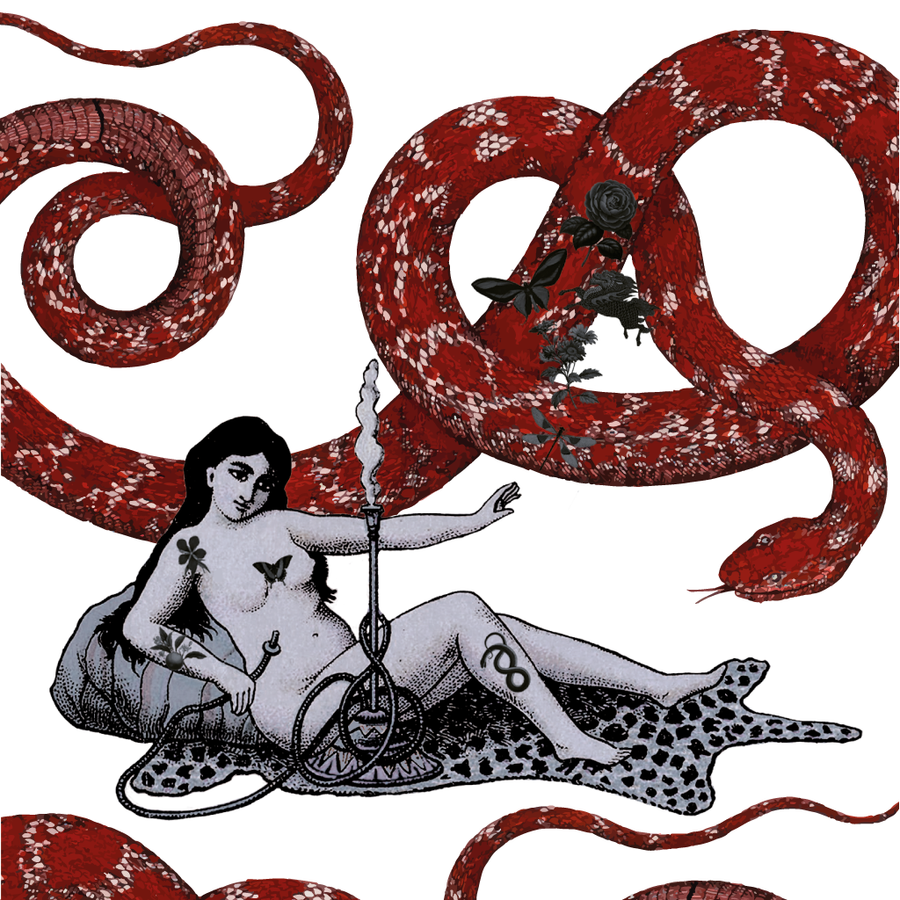 Dream snake - Postcard
