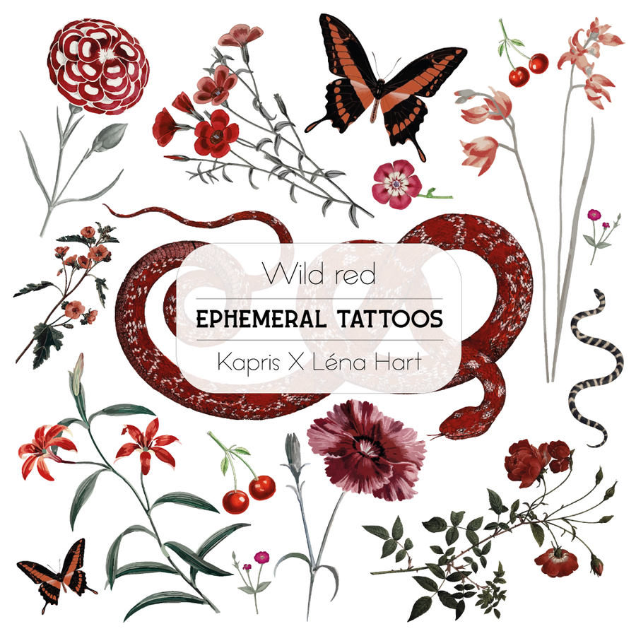 Lot de 5 planches de tattoos éphémères - Collection 2023