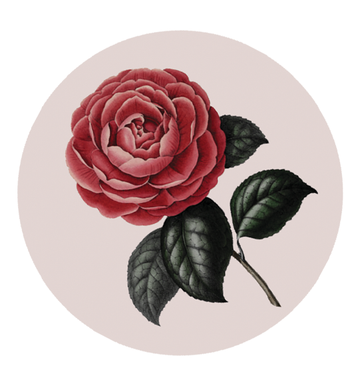 Fleur - Sticker